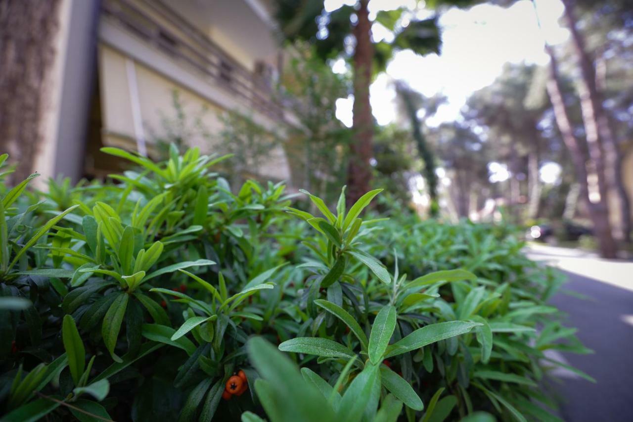 Pine-Tree Apt W/ Private Garden 50 M From The Sea Golem  Exterior photo